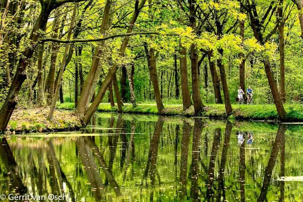 Logement In De Peel Griendtsveen エクステリア 写真